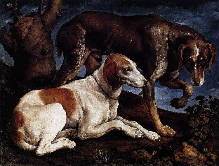 Follower of Jacopo da Ponte Two Hounds France oil painting art